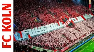 Koln Fans Atmosphere in RheinEnergiesSTADION (FC Koln VS Slovacko 4-2)
