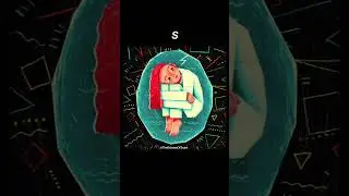 If Your Name Starts With S, Watch This #shorts #viralshorts #letters
