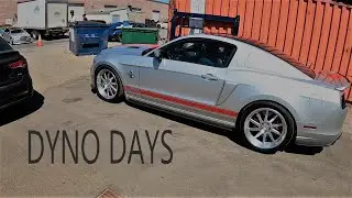 DYNO DAY EVENT !