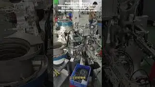 Automatic Spring Gate Swivel Snap Hook Assembling Machine