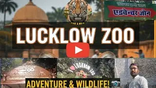 Lucknow Zoo 😍 Ohhh No !🫣 Ham Bhi Aa Gaye | Lucknow Zoo Park | Lucknow Zoo Museum | All Animals video