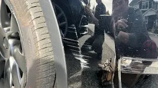 Model Y - Scratch Remover, Touch Up paint & RIM touch up paint