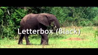 Blaine's Letterbox Effects Updated
