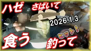 【正月・新年会！大阪湾ハゼ釣り】ヤバい！初のマハゼを釣ってさばいて食う企画！極寒のハゼパラ漁港！高石漁港はで果たして食べるだけの数のハゼが釣れるのか？2025年のYoutubeg収益公開！浜寺公園釣り