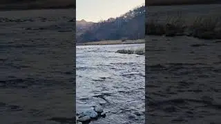 강가를 걸으며 시간여행 #lake #nature #fishing