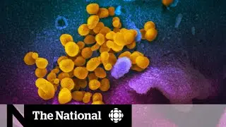 COVID-19: Is the virus mutating?