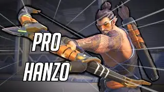 I played Hanzo in PRO SCRIMS