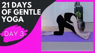 21 Day Yoga Challenge Free | DAY THREE | 21 day yoga for beginners