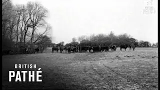 East Anglia Flood Tides (1949)