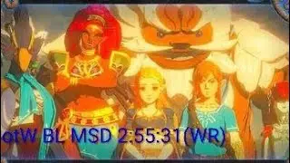 BotW Bug Limit Master Sword and Dungeons 2:55:31(WR)