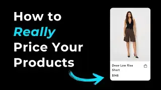 The Impact of Price Testing Using Intelligems (Case Study)