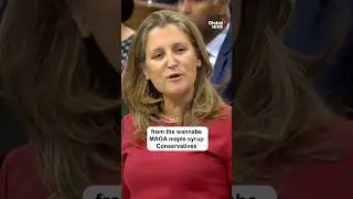 Freeland says &ldquo;wannabe MAGA maple syrup Conservatives&rdquo; don't scare her #cdnpoli