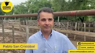 Pablo San Cristóbal. Ferias Rauch 11/12/25.