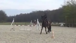 Galop 3 Encha&icirc;ner des obstacles isol&eacute;s sur un trac&eacute; simple