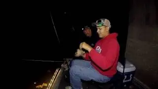 Crappie fishing at night under lights with minnows