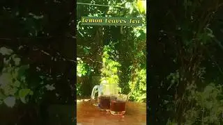 Refreshing Tea (lemon leaves) #food #recipe #shorts #youtube #youtubeshorts #viralvideo #trending