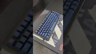 Akko Mod 007B hall effect keyboard sound test!