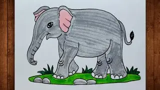 How To Draw Elephant / Elephant Drawing / Elephant Drawing Colour