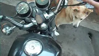 Honda CM250