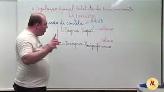 Estatuto do Desarmamento  - Lei 10826/03 - Degusta&ccedil;&atilde;o