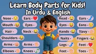 Body Parts for Kids in Urdu | Learn Human Body Parts Names | Kids Learning Video 👶 