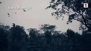 HAWA  HAWA  LAGE KHUUB  &bull;  PROHORI