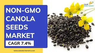 STOP Buying Canola Seeds Until You Watch This