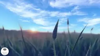 I rest in God  - Non-Duality - ACIM - Spiritual Healing - Meditation Music