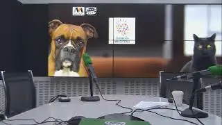 🔴EN DIRECTO | Como el perro y el gato 10/01/2026
