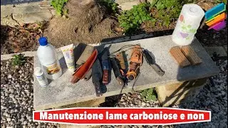 Manutenzione lame carboniose e non