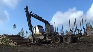Lesní vyvážečka PONSSE Buffalo při práci. Vyvážení, přibližování dřeva v lese. Kuničky / Petrovice.