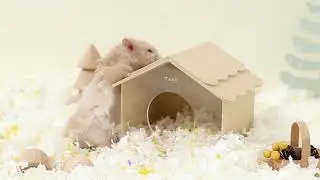 Tafit Hamster Hideout: The Perfect Fun-Filled Stylish Retreat for Your Furry Friend!