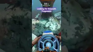 When you find exactly what you're looking for [2] #subnautica #seamoth