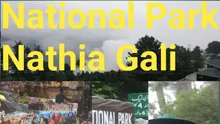 Pipeline track Nathia Gali Full video