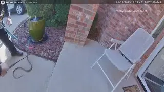 Officers in North Texas capture a snake from a resident's porch