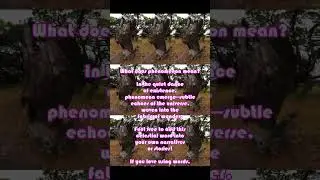 Whispers of the Universe & Unraveling Phenomena