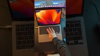 Online Watermark Remover for FREE! ✅