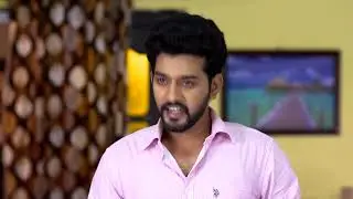 Rama Sakkani Seetha - Ep 503 - Jyothi, Nanda Kishore - Telugu Tv Serial - Zee5 Telugu Classics