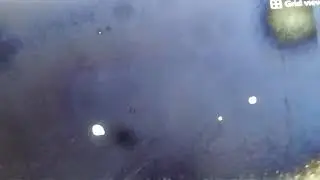 UFOS ORBS  and RODS