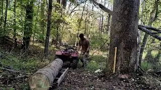 ATV logging, homemade log sled. #homestead #sawmill