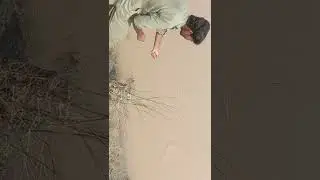 Layyah shikar darya shind