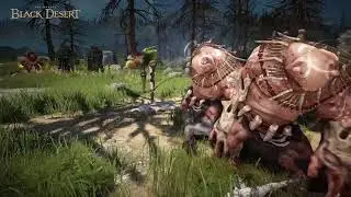 Black Desert: Ranger Introduction