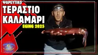 Eging 2025 – Δεν Πίστευα ότι Θα Πιαστεί ΤΟΣΟ Μεγάλο Καλαμάρι!