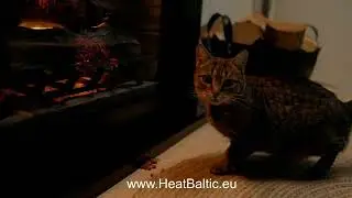 TAGU Larsen Black PowerFlame 2 &ndash; pastatomas elektrinis židinys su apdaila | Heat Baltic