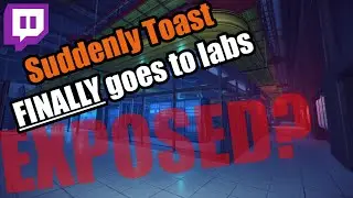 Suddenly_ToastTTV Uses His 9K Hours TARKOV Experience To DOMINATE LABS To Prove His Innocence !SKILL