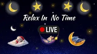 💙 We play our lullabies live &ndash; Relax in No Time (Live Section) 😴