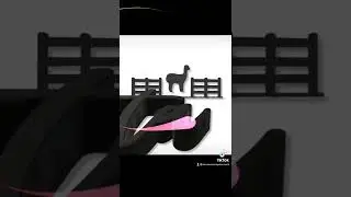 Alpaca Ranch
