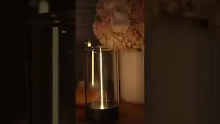 Auge Light Night Lights: Modern Bedside Table Lamps