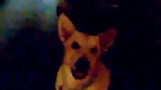 George : My HomeBoy 16Y