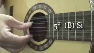 Afinador de Viola Caipira Cebol&atilde;o em - Mi maior (E)  Tuner 440